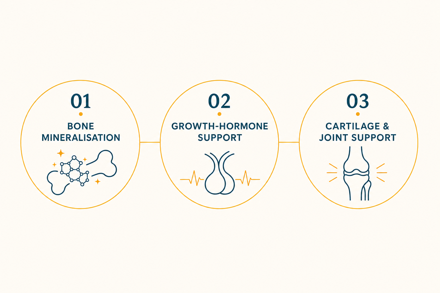 Triple Growth Formula phases